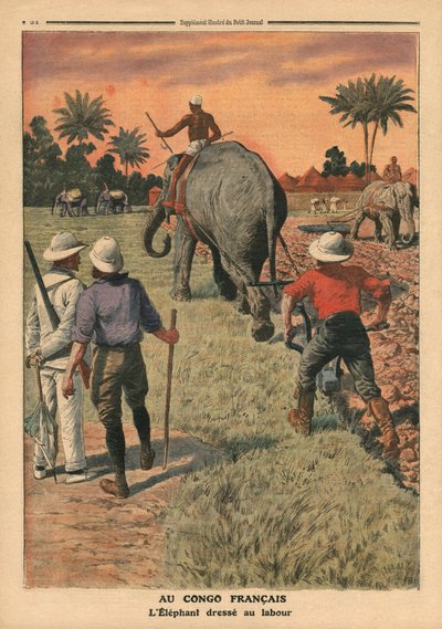 Im französischen Kongo, zum Pflügen ausgebildeter Elefant, Illustration aus 